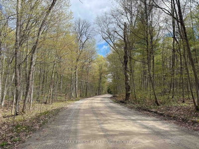162 Black Rapids Road