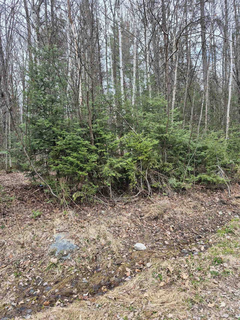 home for sale on LOT 5 ARBUTUS Trail