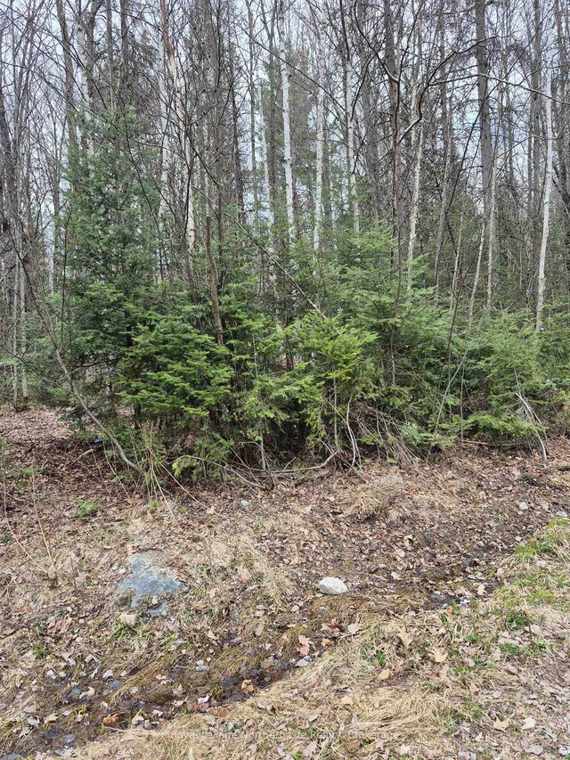 LOT 5 ARBUTUS Trail