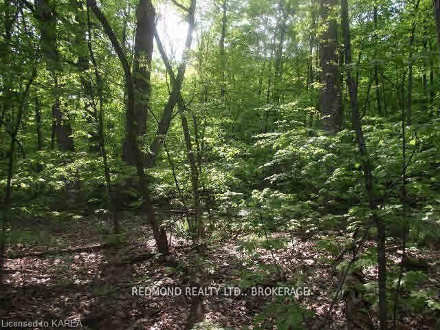 Vacant Land sold at 2402 46 Road, Elizabethtown-Kitley, Ontario, K6V 5T3 - Elizabethtown Kitley (Old Kitley) Twp - MLS: X13111898