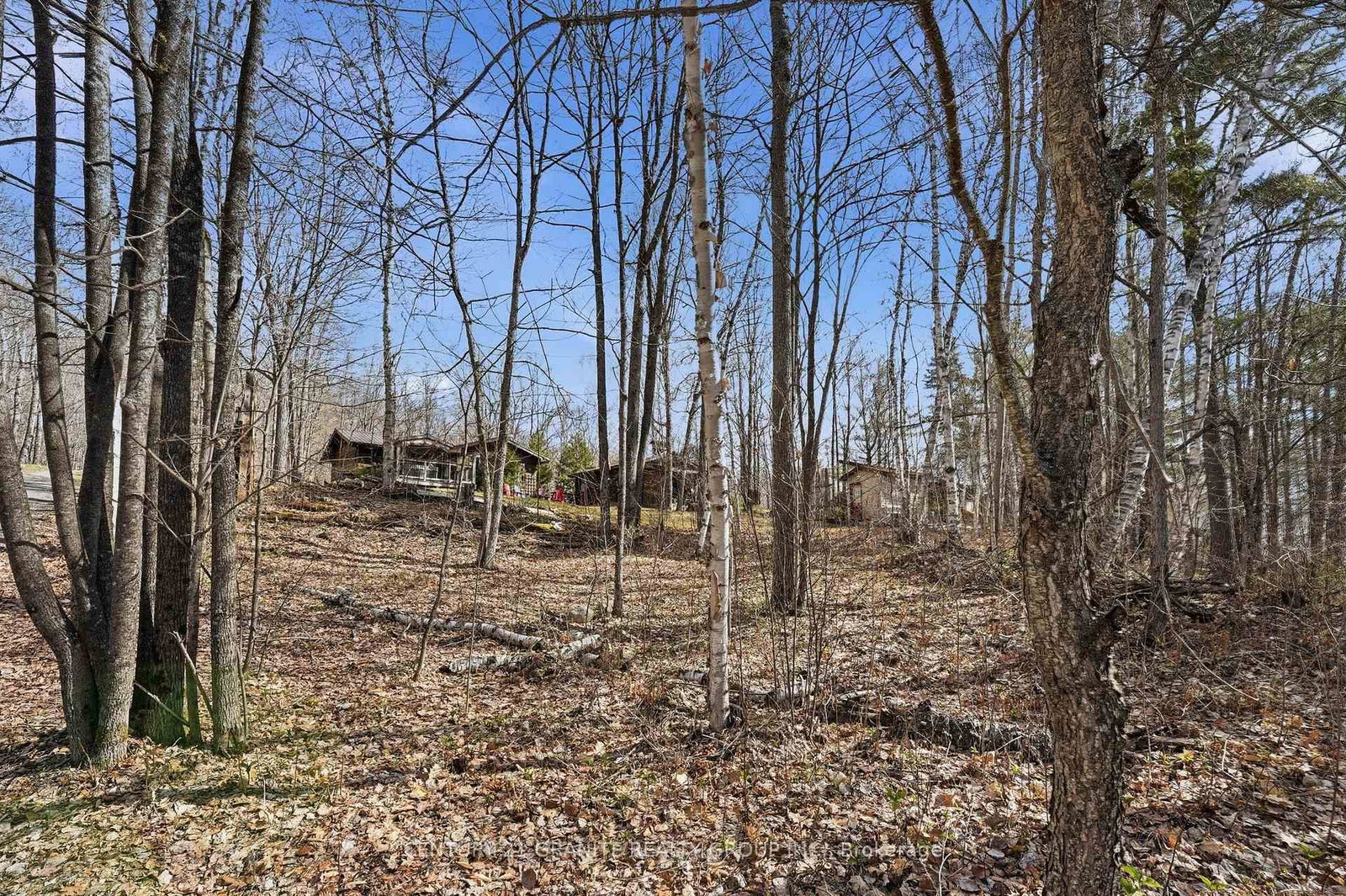 2349 N Baptise Lake Road • Bancroft, ON photo 2