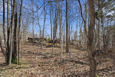 2349 N Baptise Lake Road • Bancroft, ON photo 2