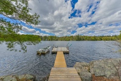 44 Fire Route 223 • Trent Lakes, ON photo 6
