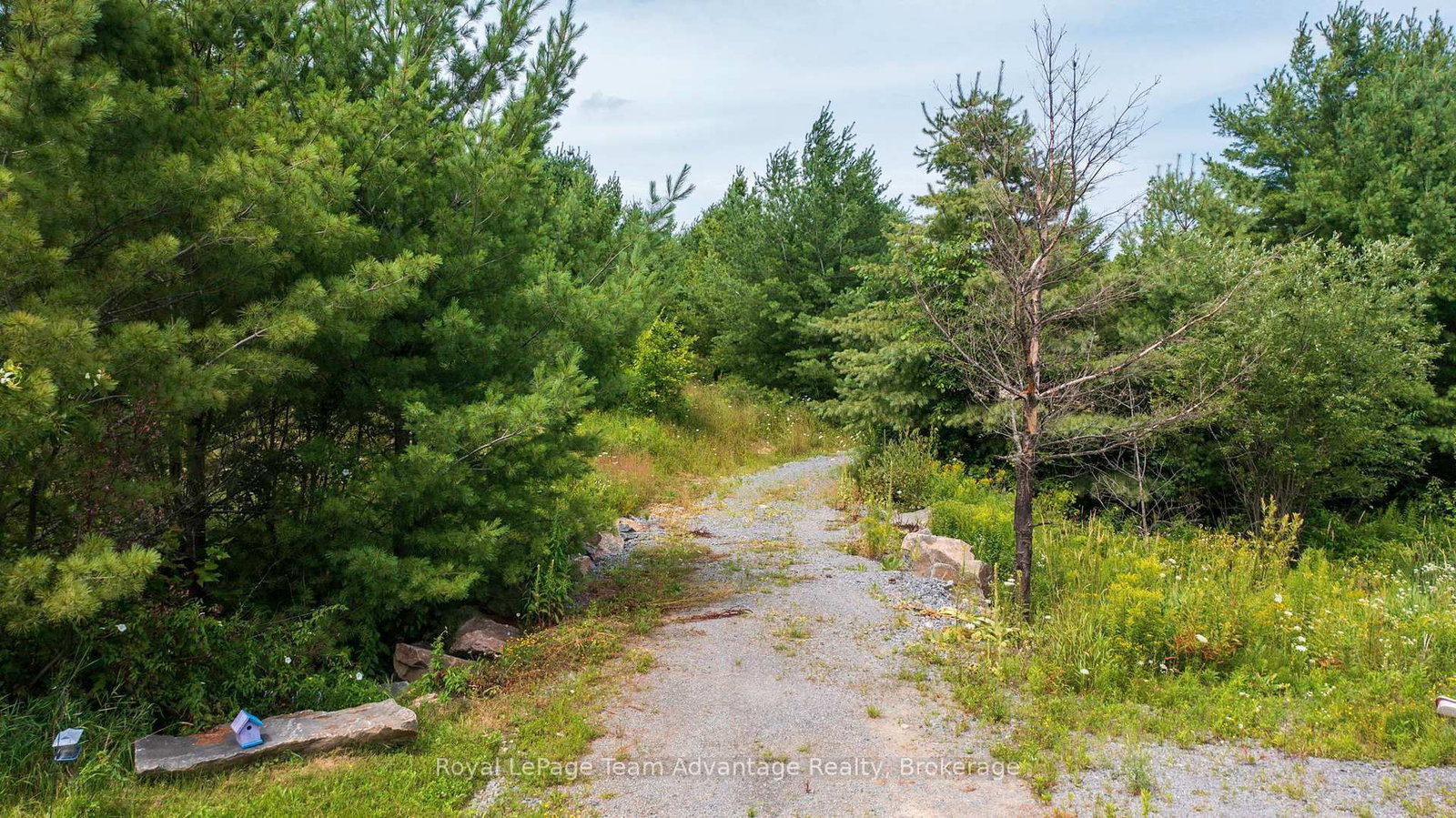 732 124 Highway • McKellar, ON photo 9