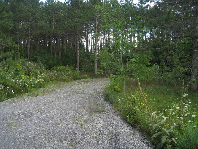 621 Highway 43 Highway