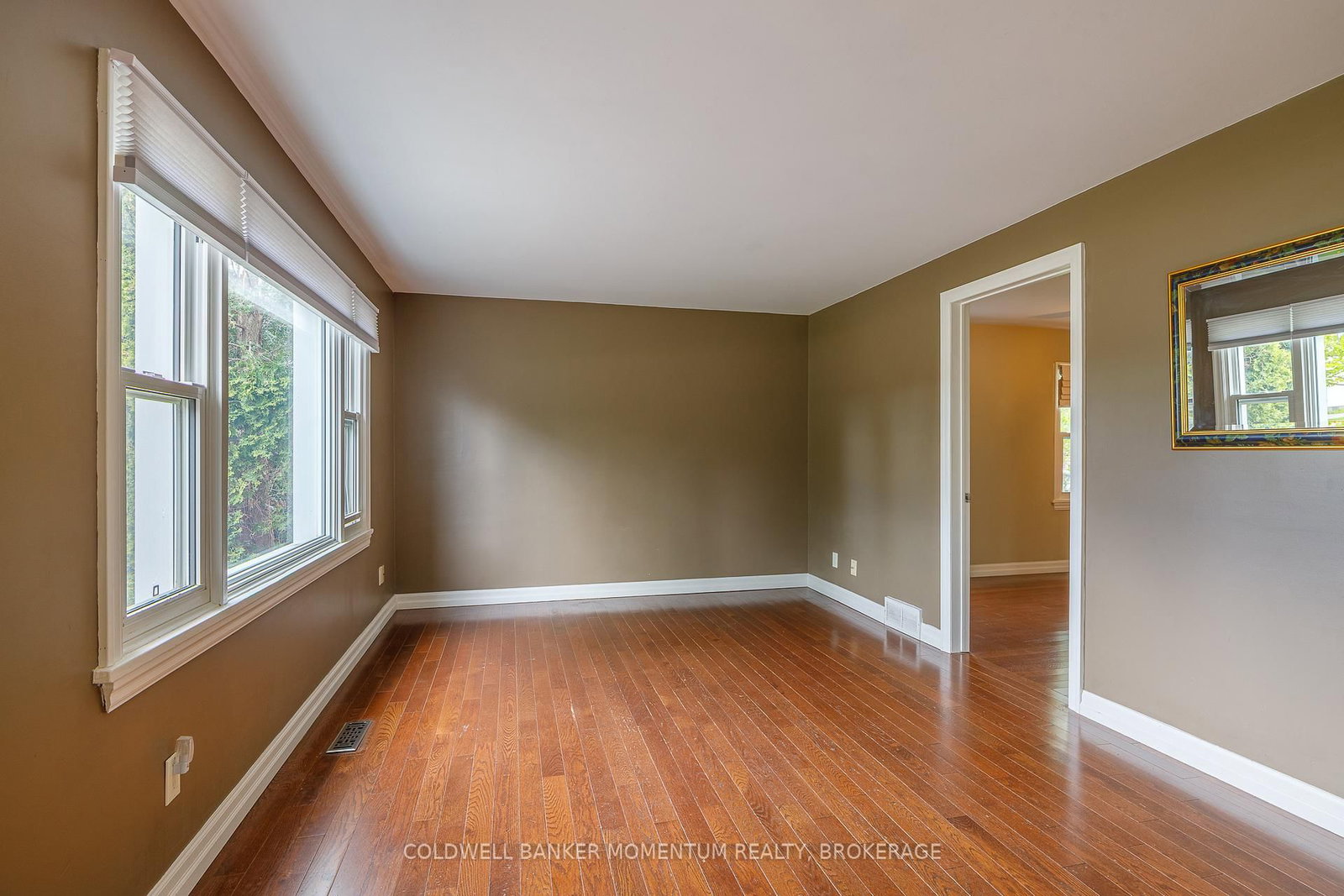 14 Lorraine Street - Photo 12