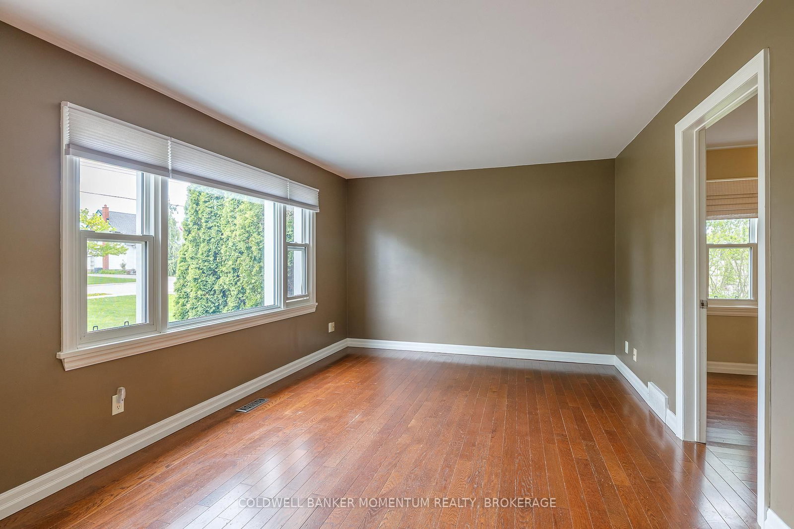 14 Lorraine Street - Photo 8