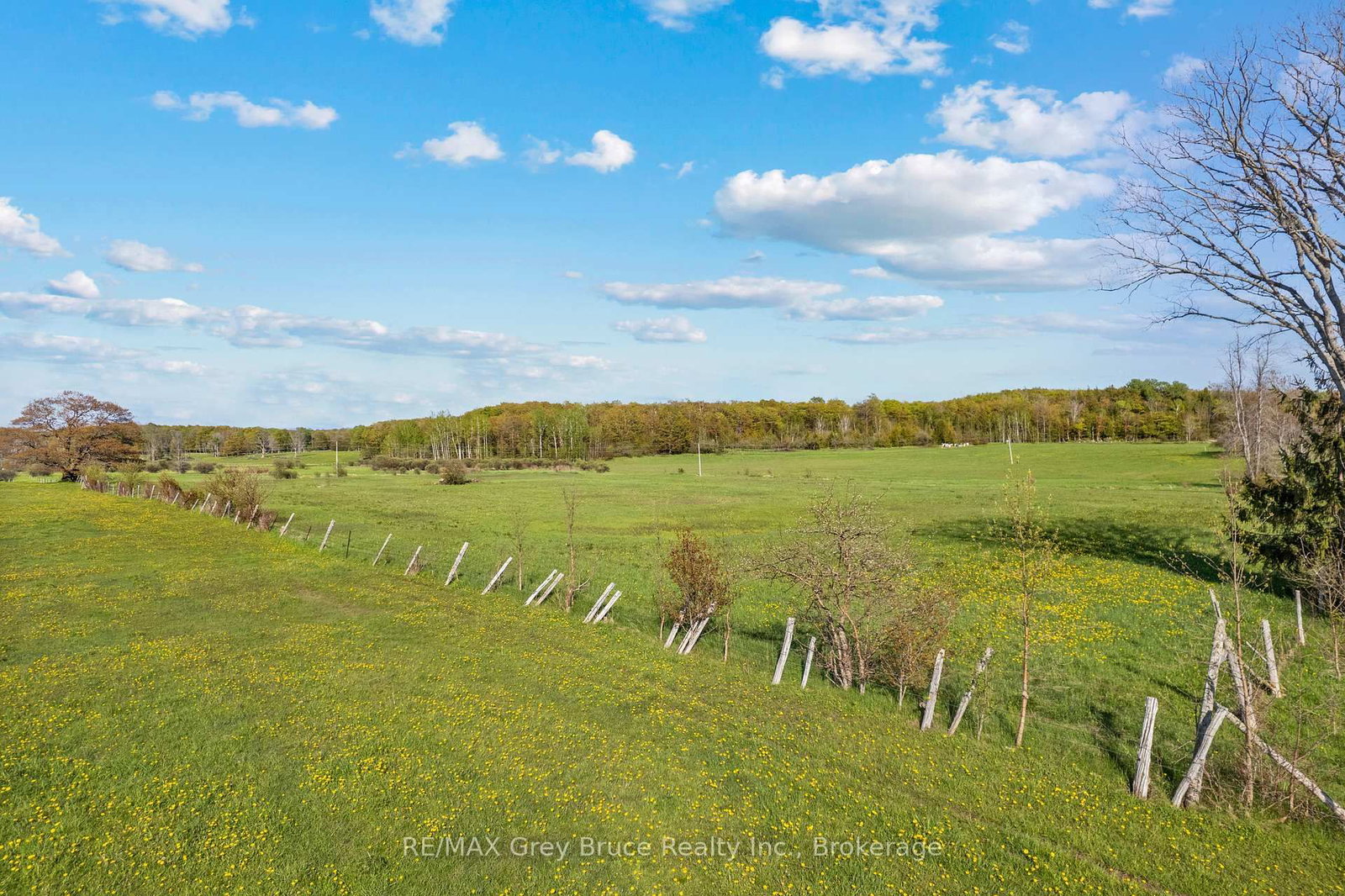 Part 1 Cape Chin North Road • Northern Bruce Peninsula, ON photo 40