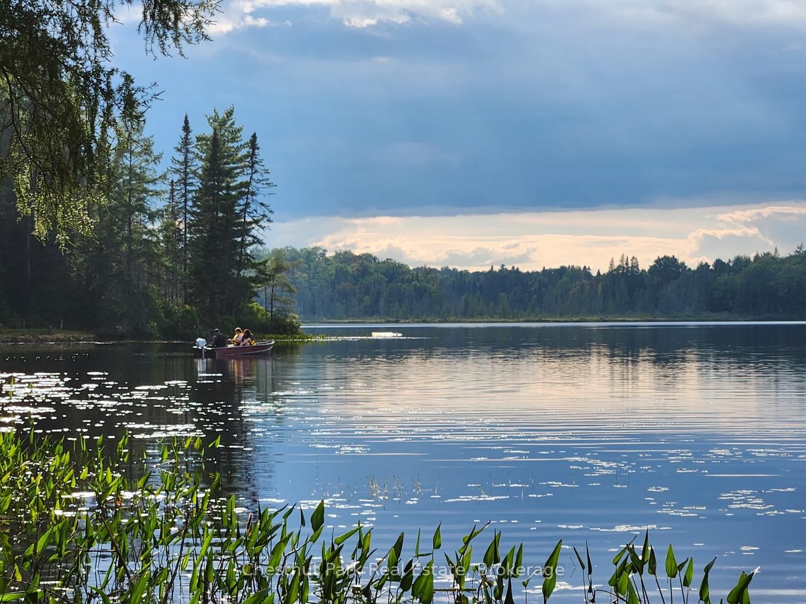 0 King Lake • Machar, ON photo 10