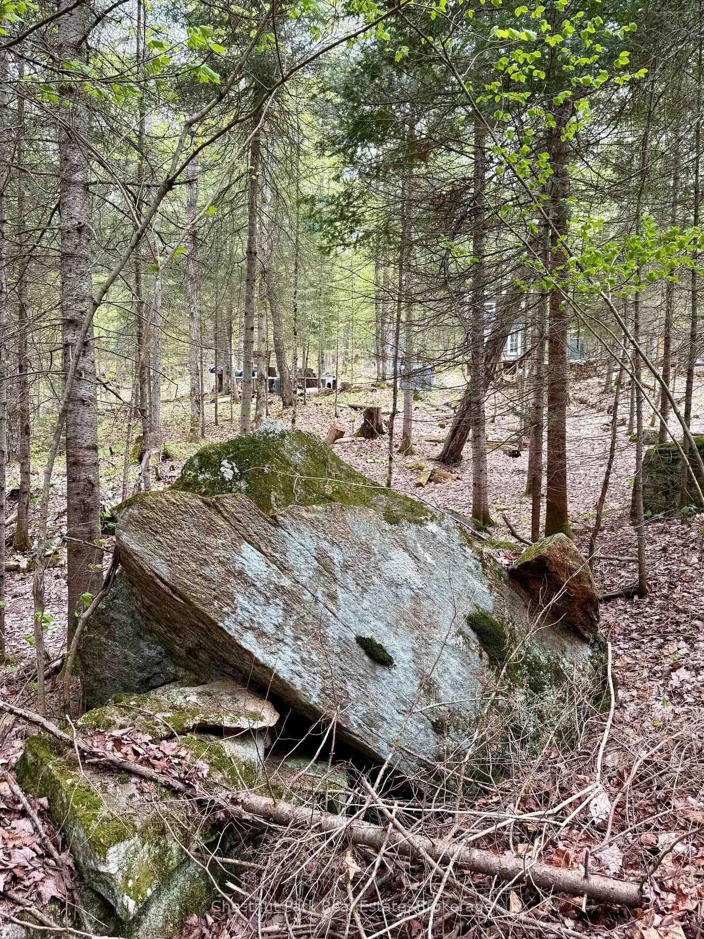 0 King Lake • Machar, ON photo 29