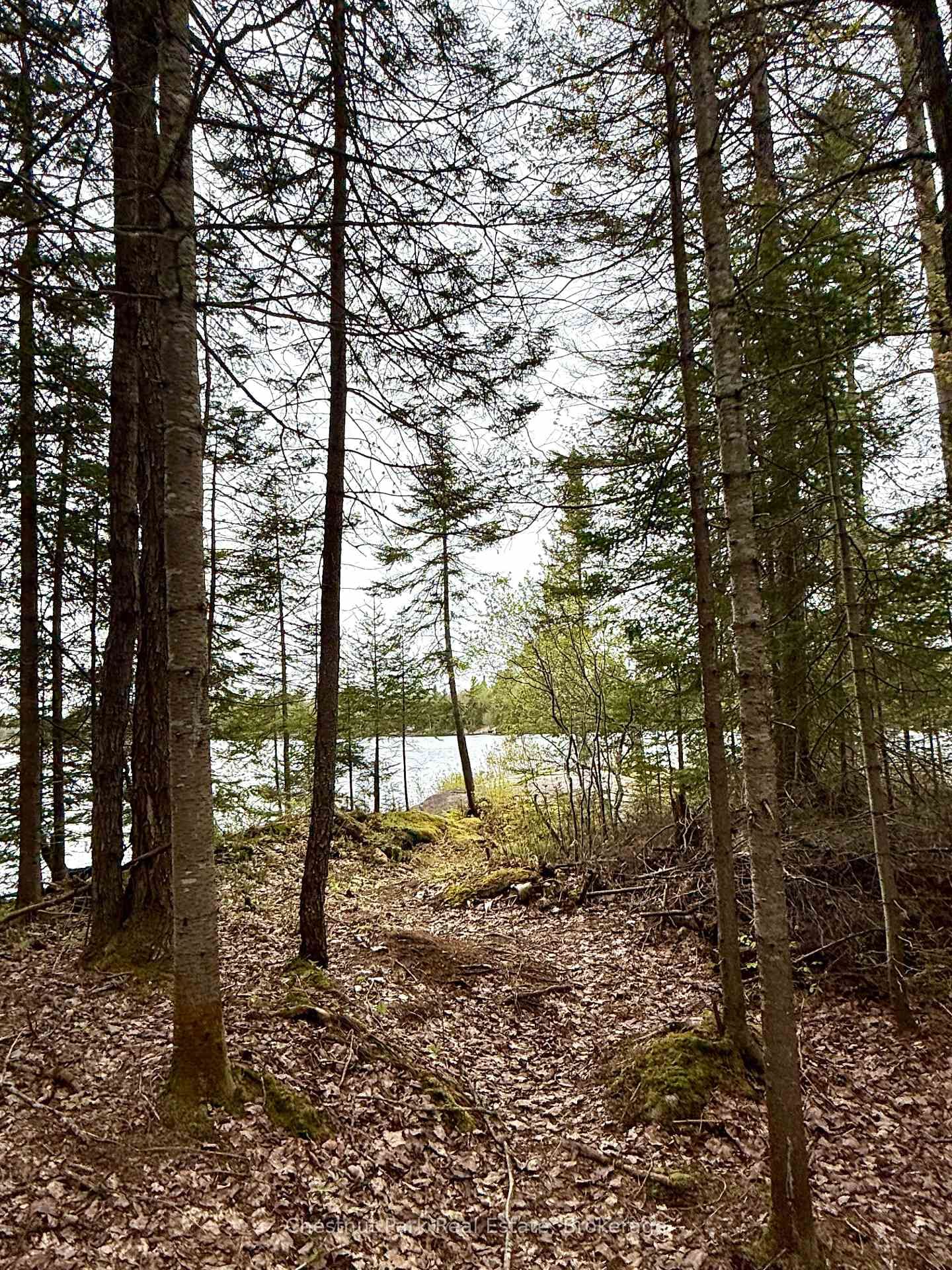 0 King Lake • Machar, ON photo 35