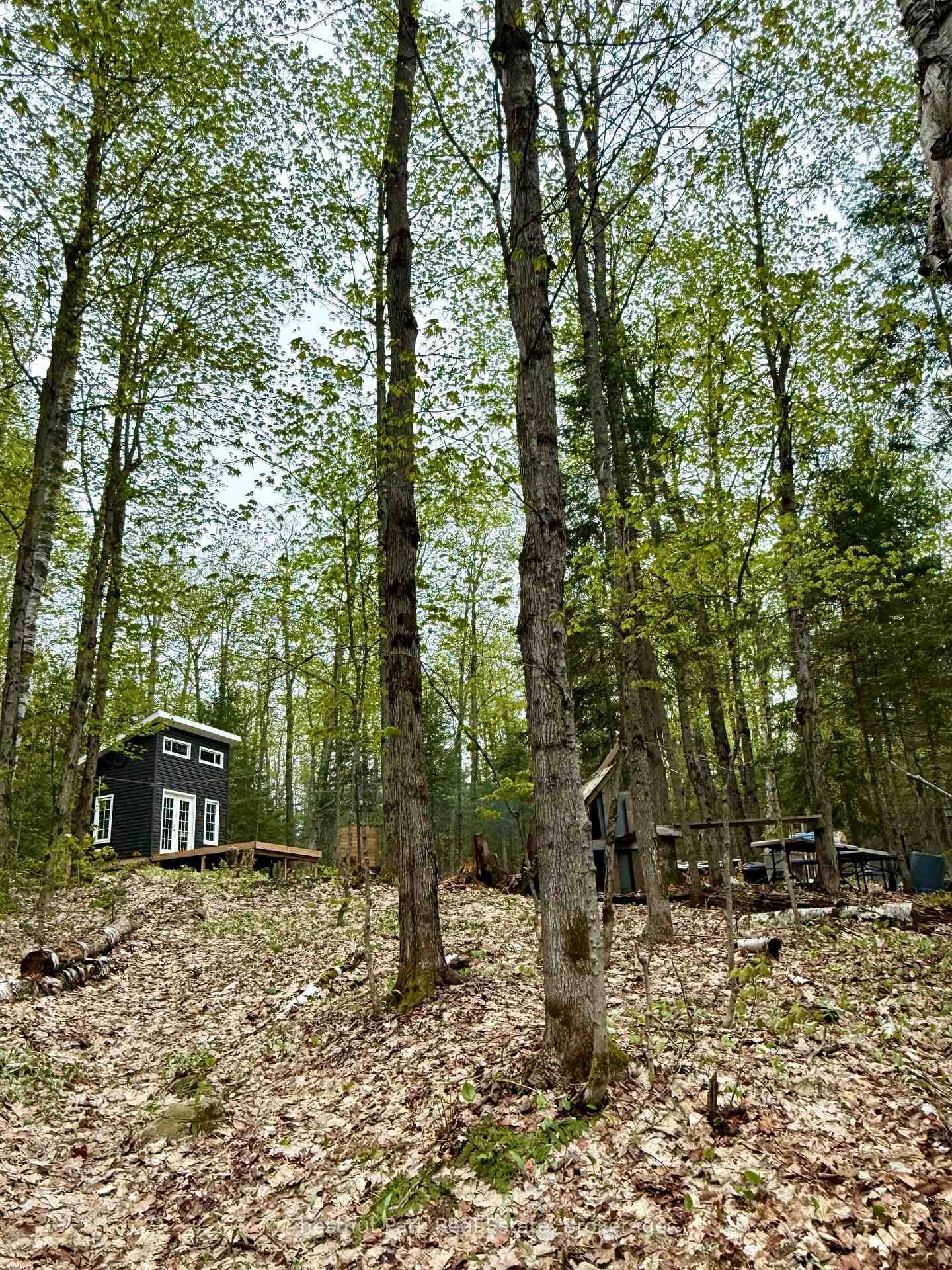 0 King Lake • Machar, ON photo 37