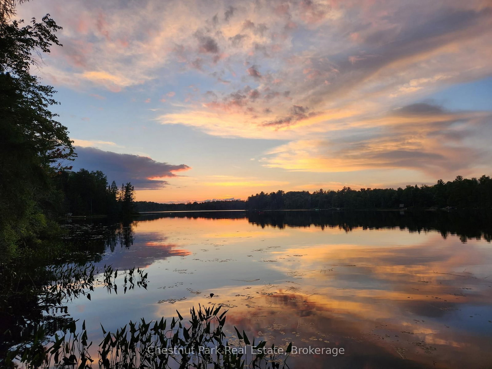 0 King Lake • Machar, ON photo 4