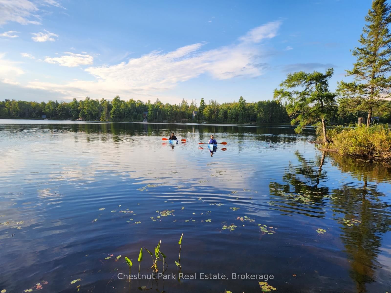 0 King Lake • Machar, ON photo 44