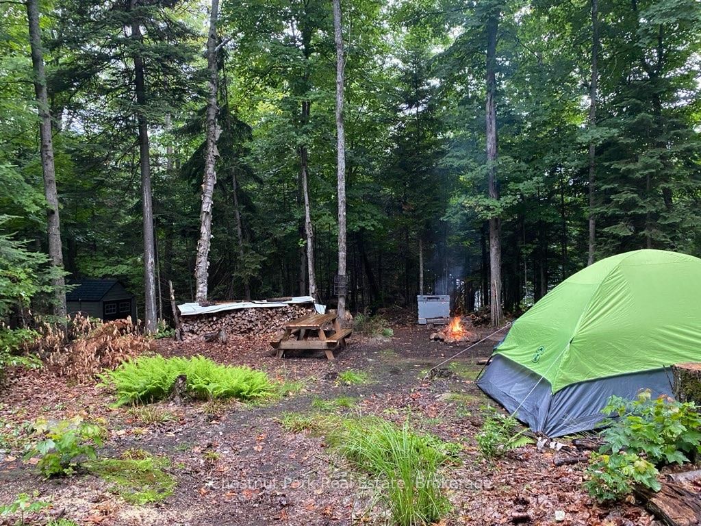 0 King Lake • Machar, ON photo 46