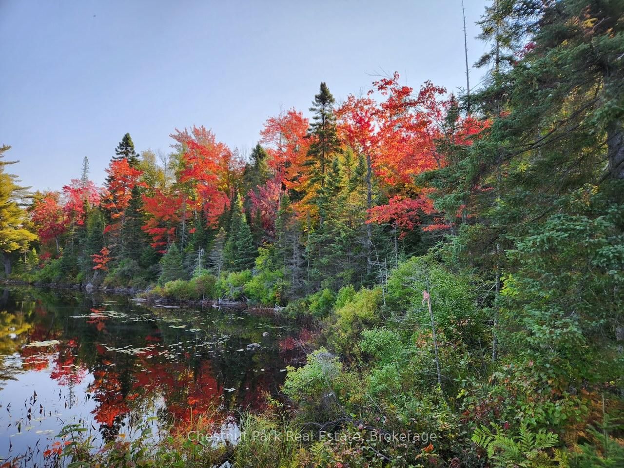 0 King Lake • Machar, ON photo 9
