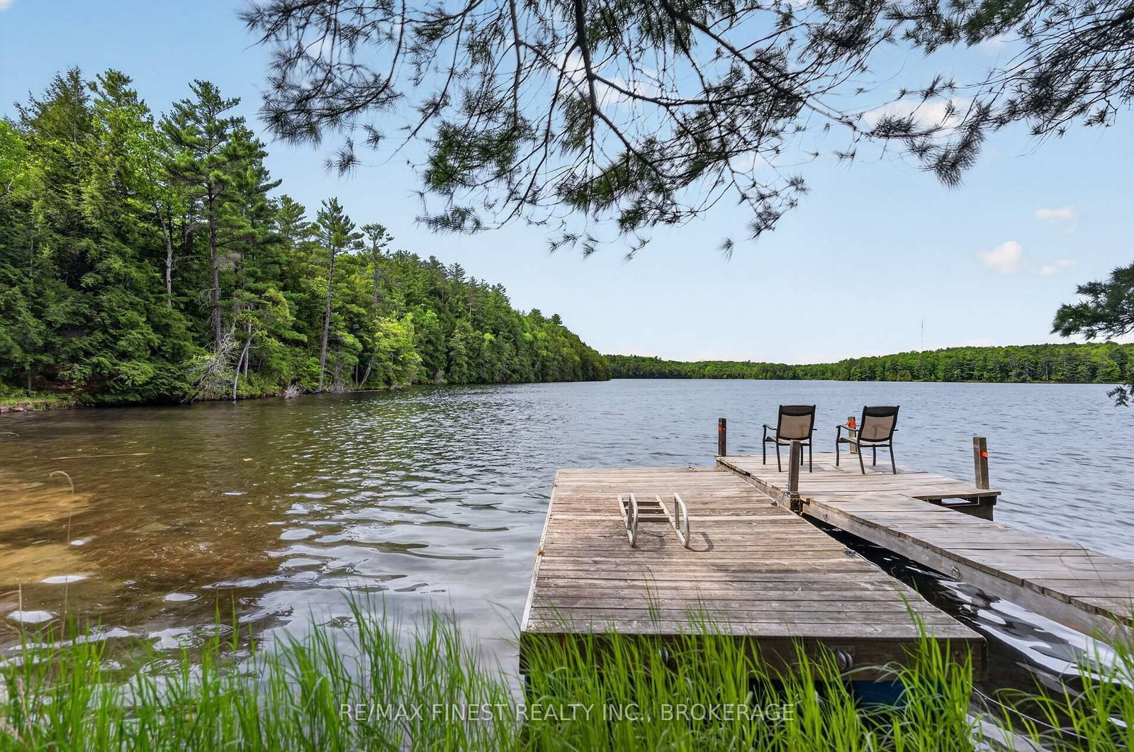 1134 NELSON Road • Sharbot Lake, ON photo 32