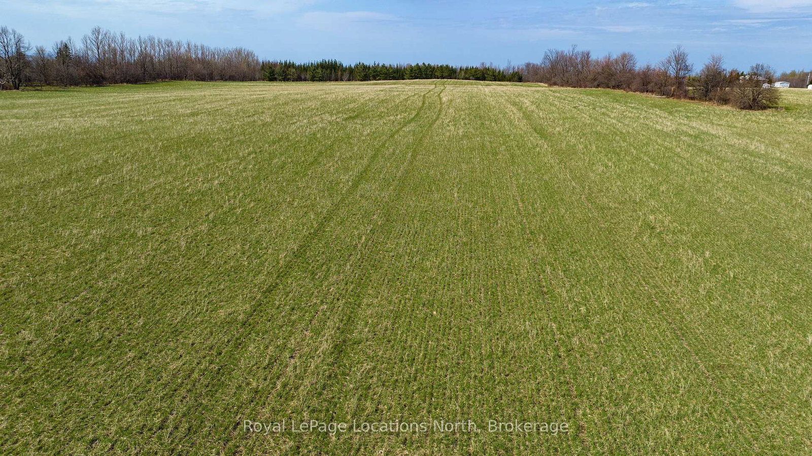 LT 17-18 6TH Line • Blue Mountains, ON photo 15