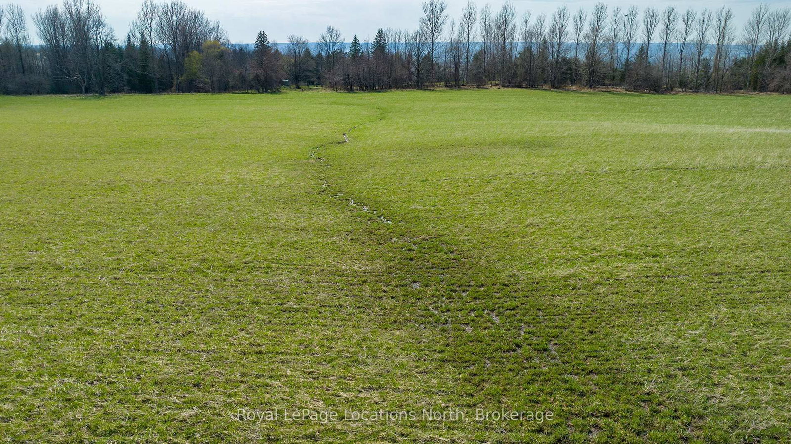 LT 17-18 6TH Line • Blue Mountains, ON photo 17