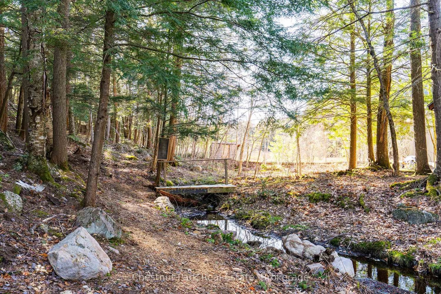 16 Stewart-King Road • The Archipelago, ON photo 45