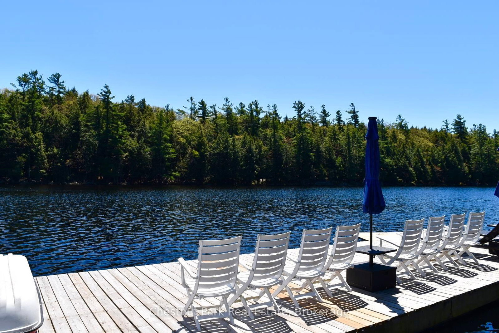 16 Stewart-King Road • The Archipelago, ON photo 5