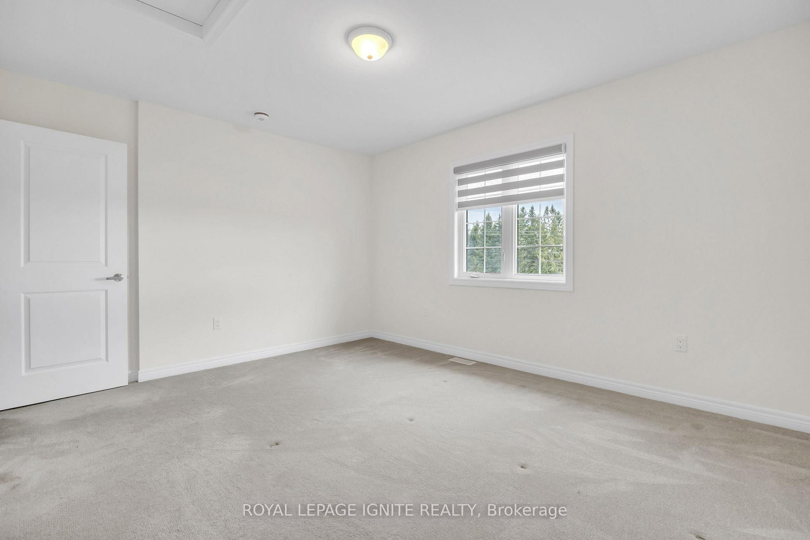 83 Summer Breeze Drive - Photo 38