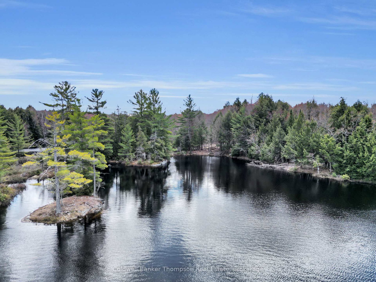 88 Lake Vision Road • McMurrich/Monteith, ON photo 11