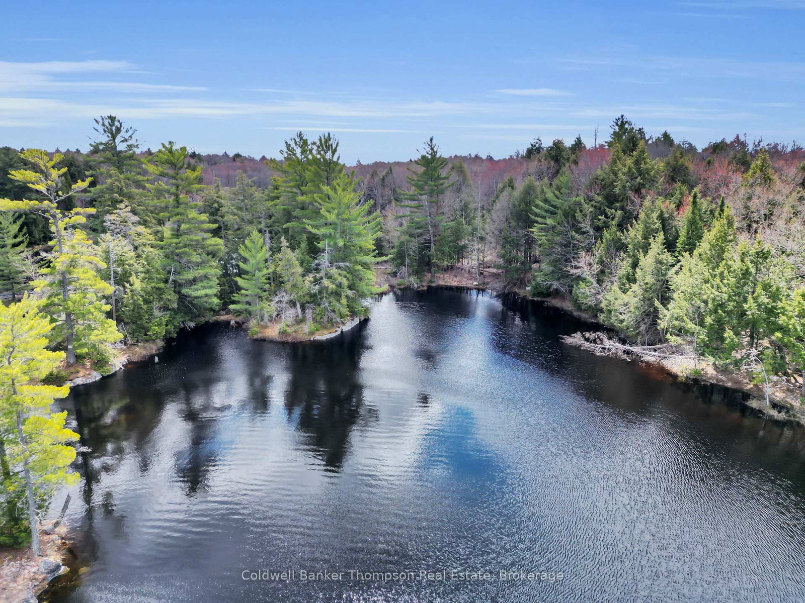 88 Lake Vision Road • McMurrich/Monteith, ON photo 12
