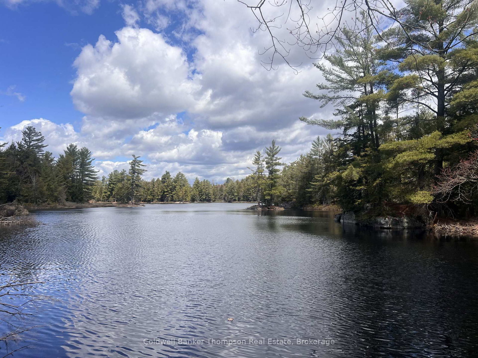 88 Lake Vision Road • McMurrich/Monteith, ON photo 14