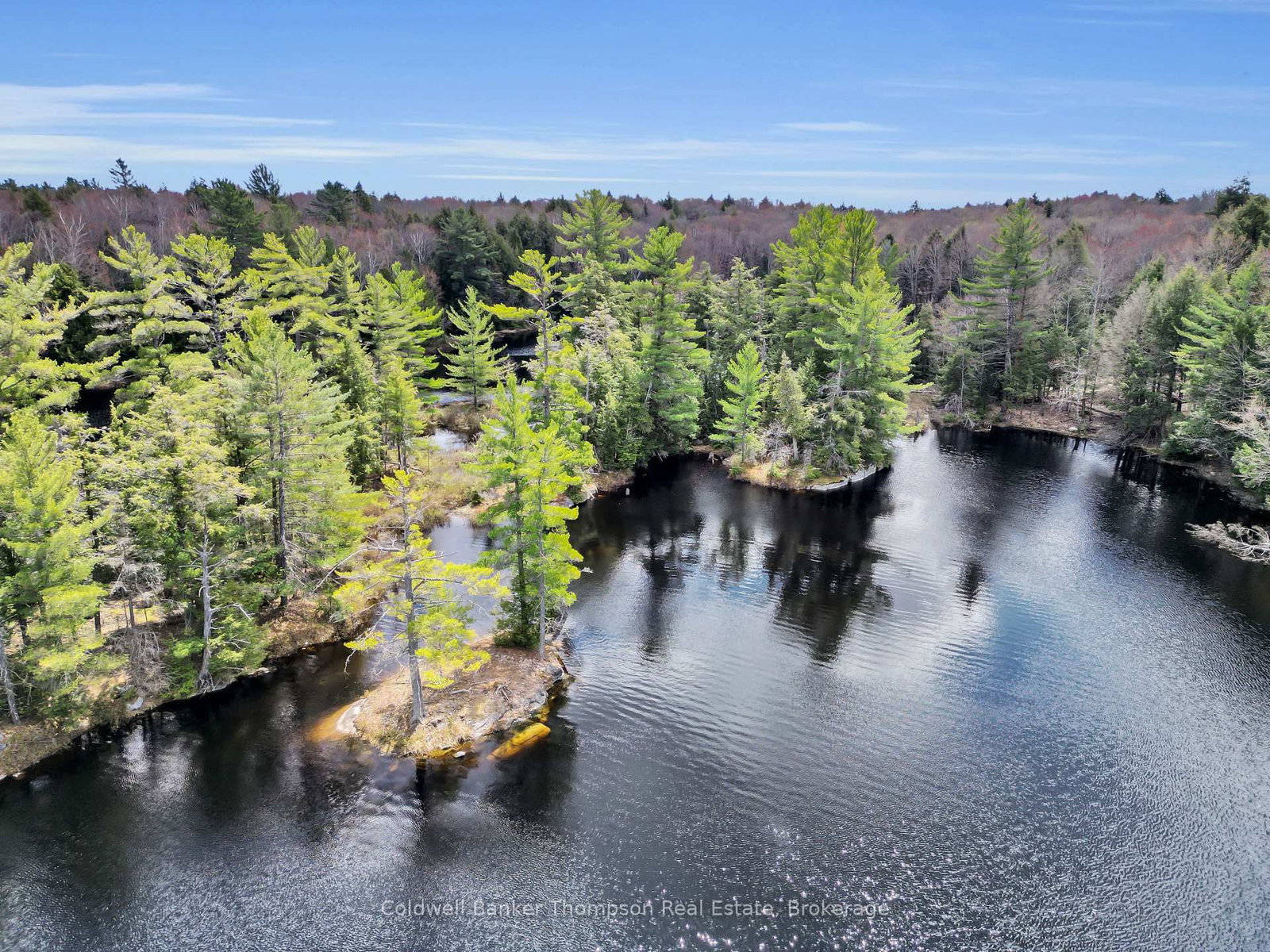 88 Lake Vision Road • McMurrich/Monteith, ON photo 17