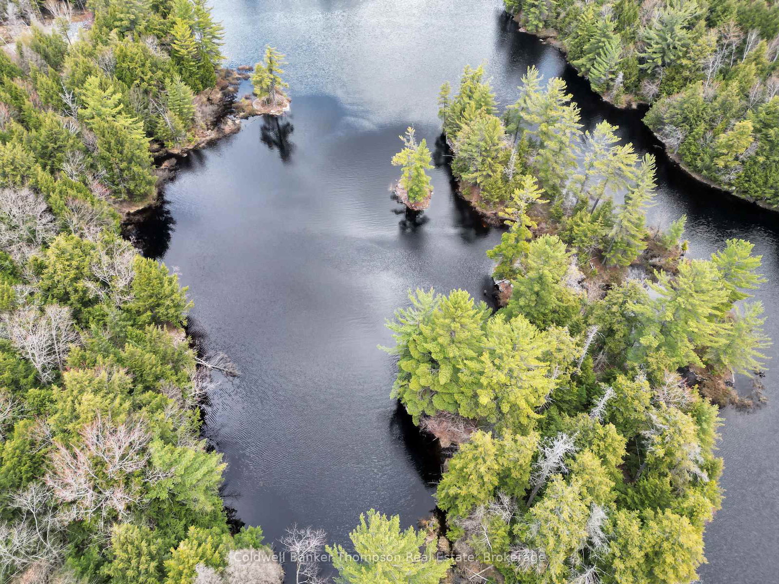 88 Lake Vision Road • McMurrich/Monteith, ON photo 18