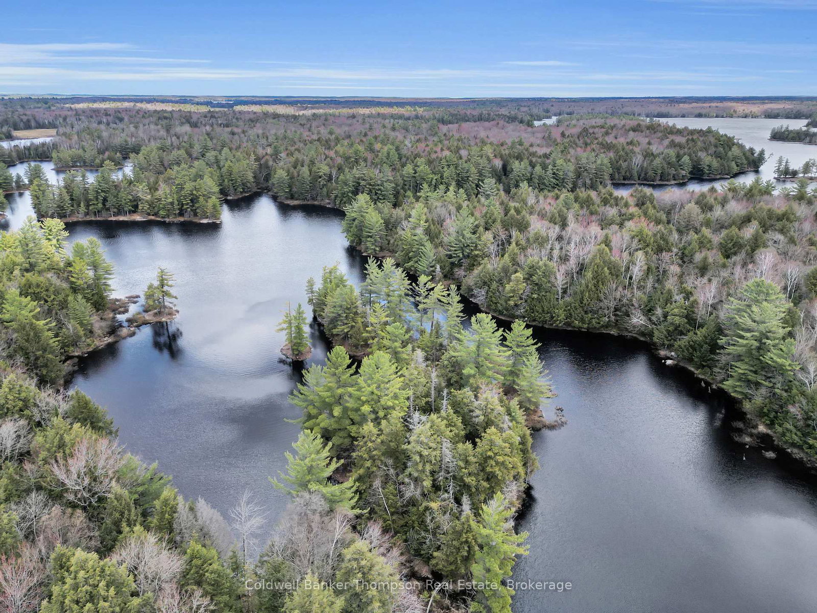 88 Lake Vision Road • McMurrich/Monteith, ON photo 23