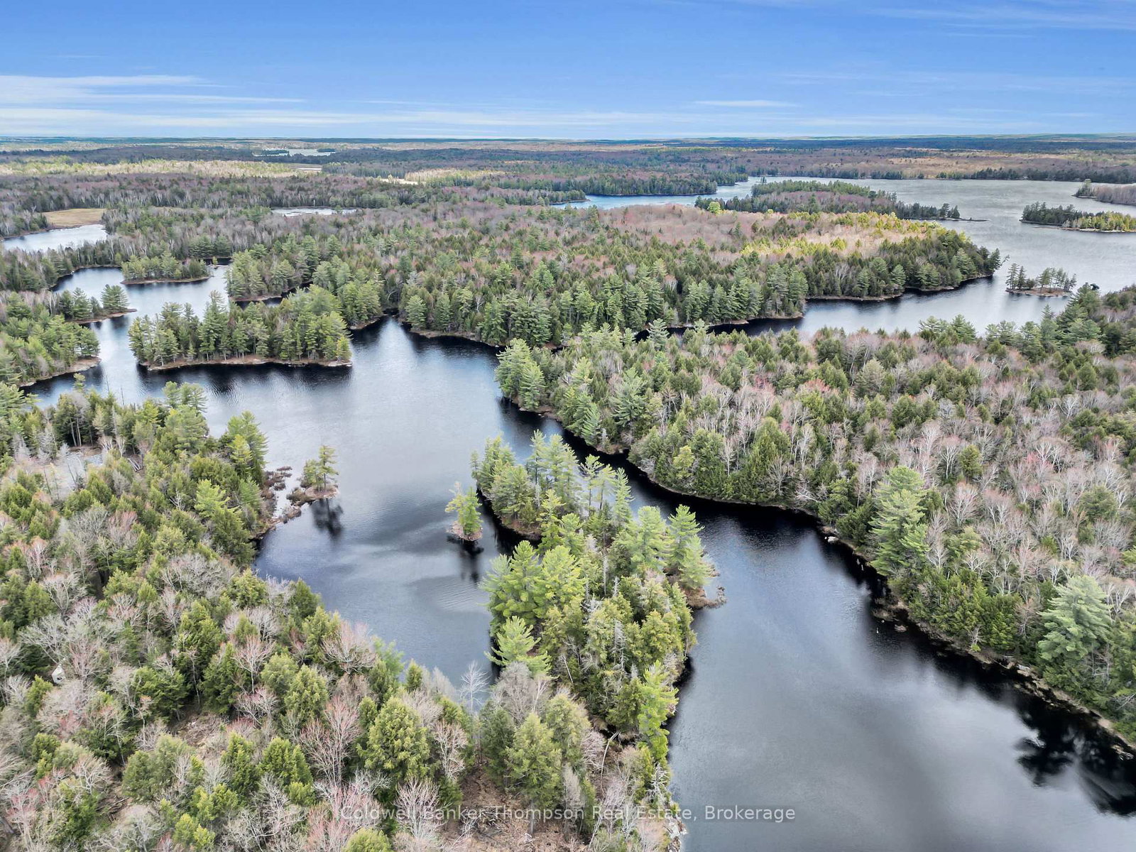 88 Lake Vision Road • McMurrich/Monteith, ON photo 24