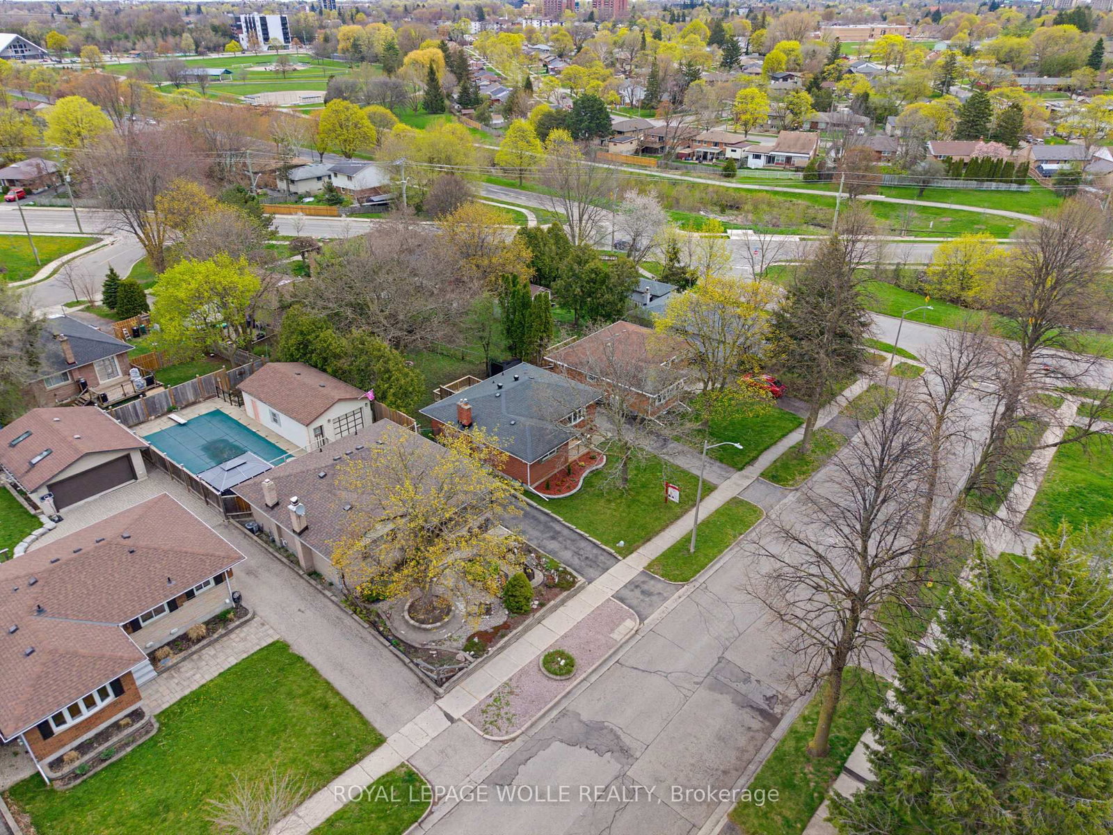 24 Hillmount Street - Photo 29