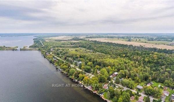 71 Antiquary Road • Kawartha Lakes, ON photo 9