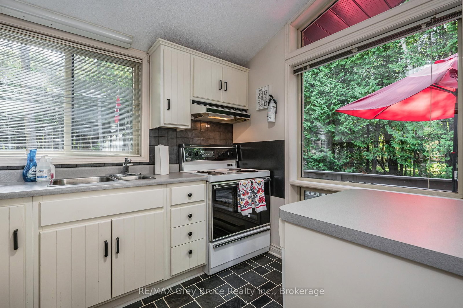 66 HARPUR Drive • Northern Bruce Peninsula, ON photo 16