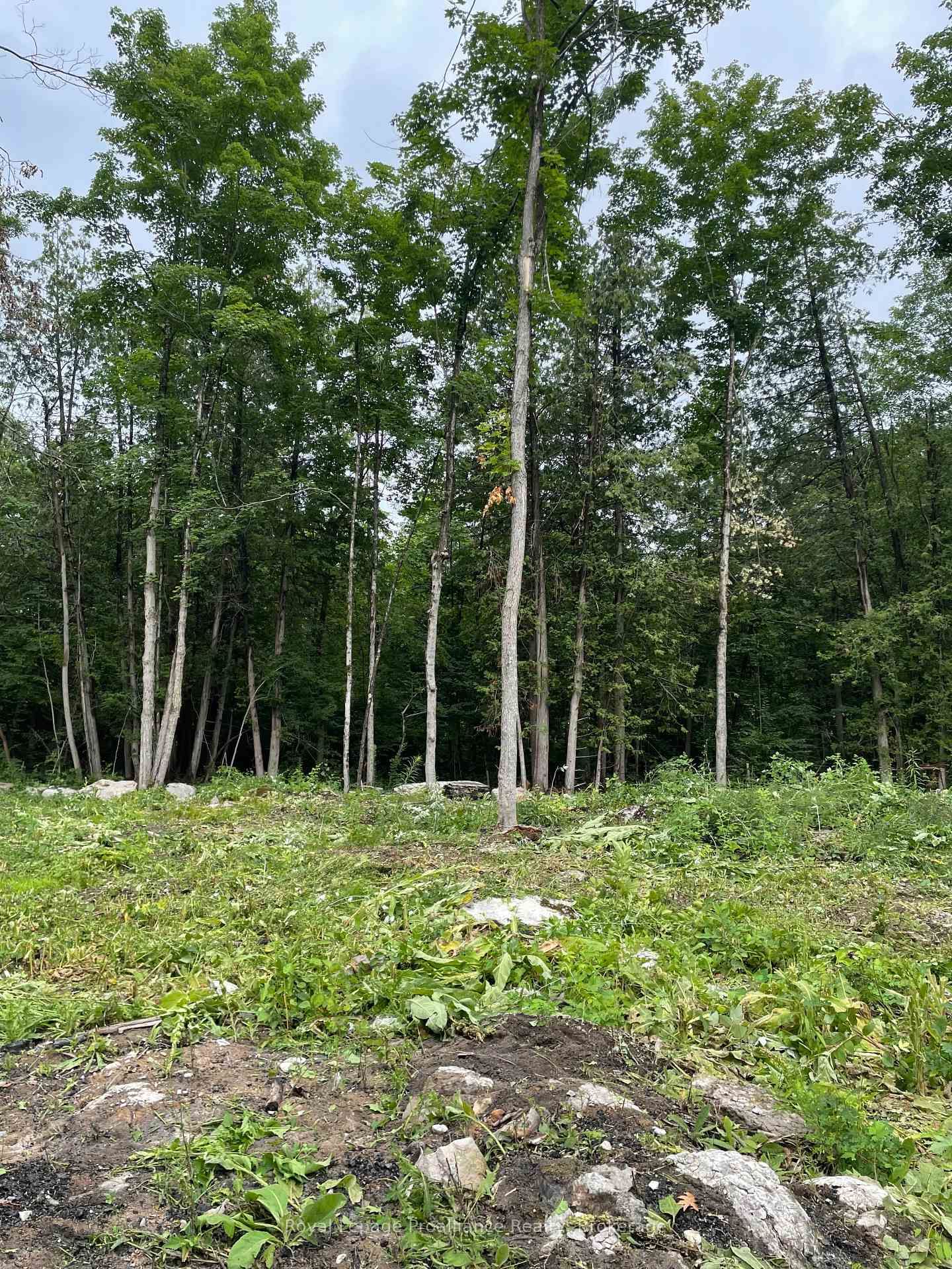 378 Station Road • Limoges, ON photo 1