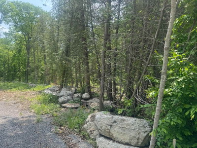 378 Station Road • Limoges, ON photo 6