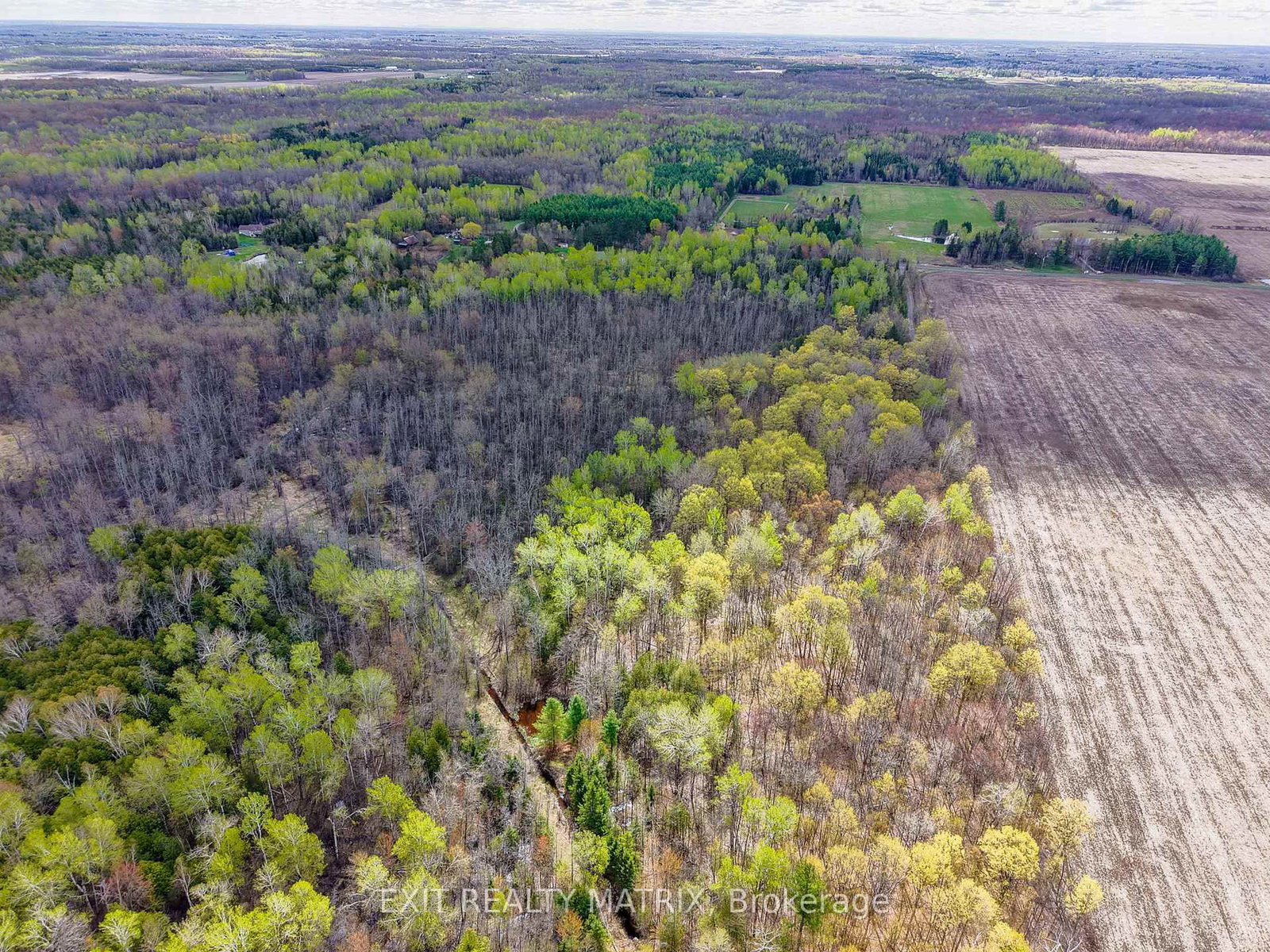 2789 Cowell Road • North Gower, ON photo 43