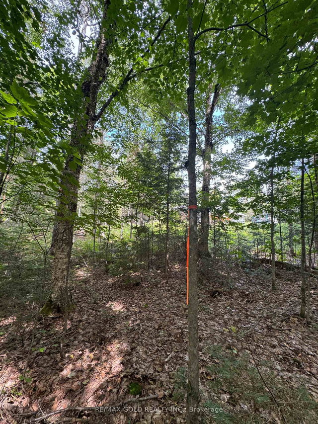 1791 Alsace Road