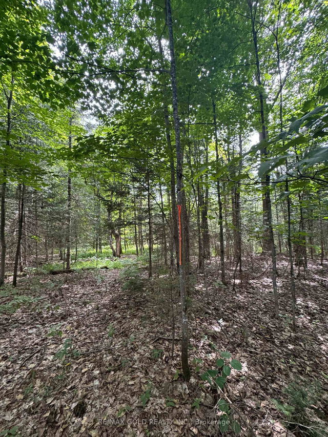 1791 Alsace Road