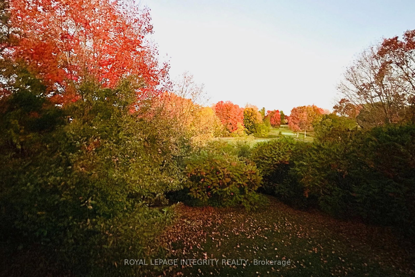 50 Rosenfeld Crescent - Photo 49