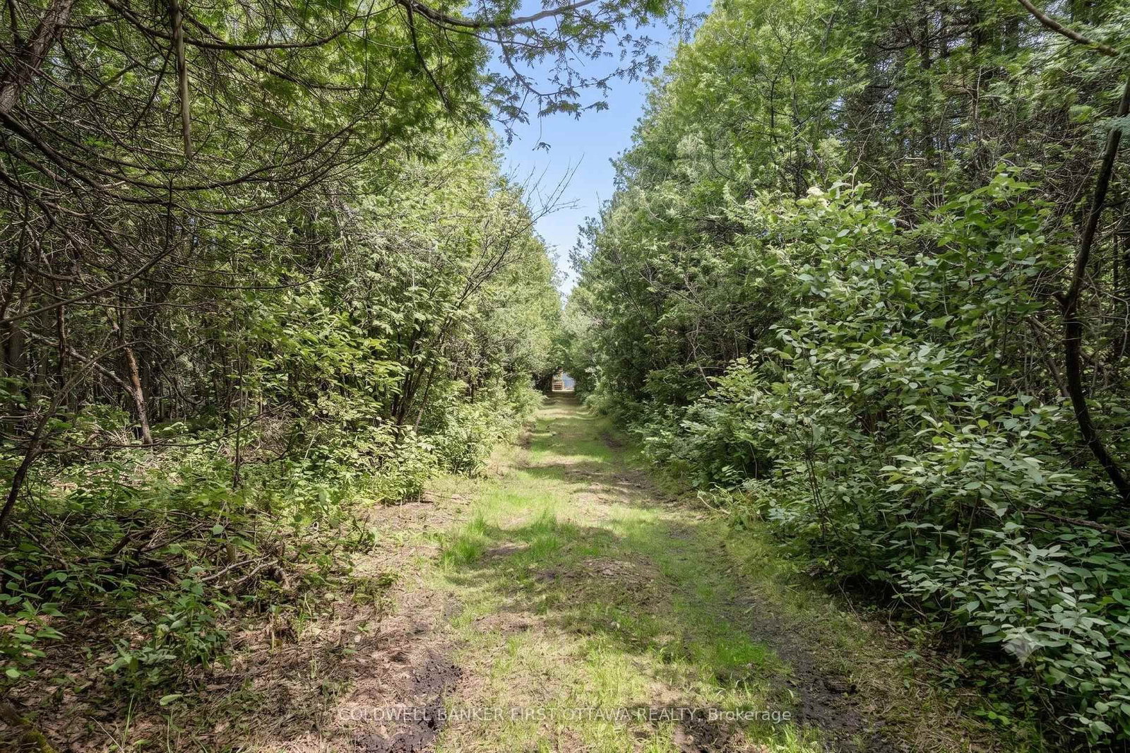 2382- 2338 Greys Creeks Road • Ottawa, ON photo 34