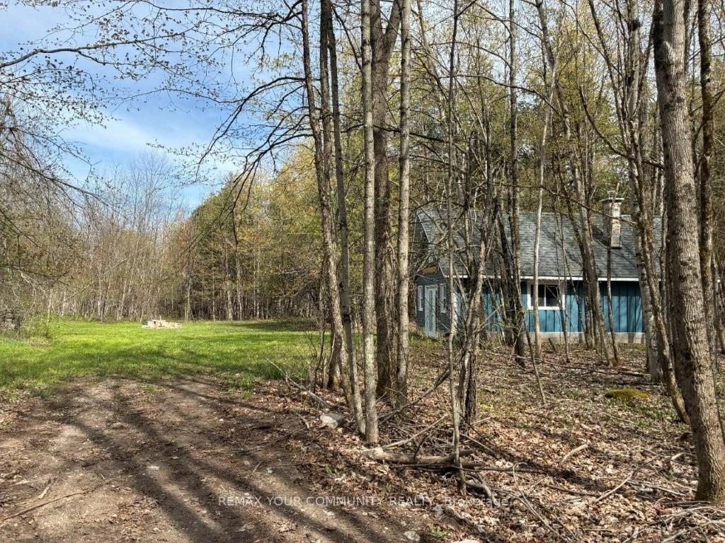 92 Bessie Avenue N • Trent Lakes, ON photo 4
