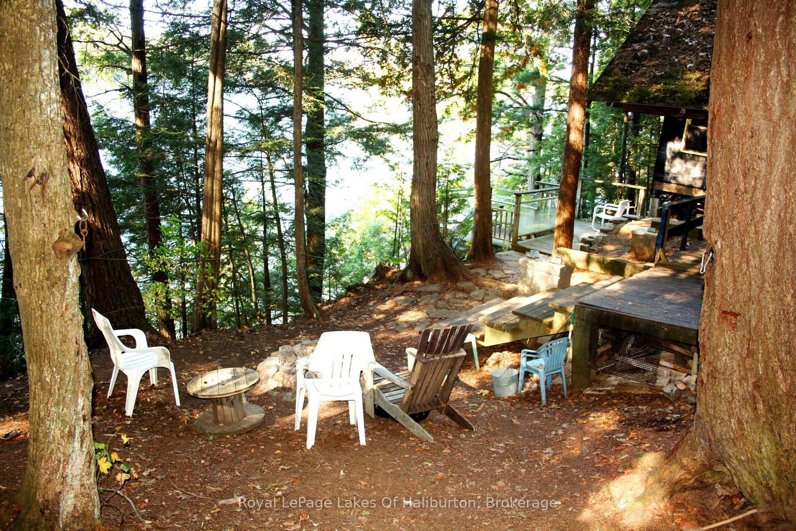 13303 Little Hawk Lake - South Shore • Algonquin Highlands, ON photo 12