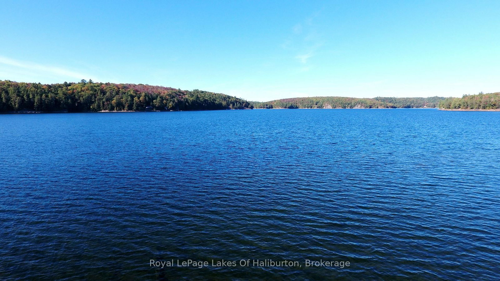13303 Little Hawk Lake - South Shore • Algonquin Highlands, ON photo 32