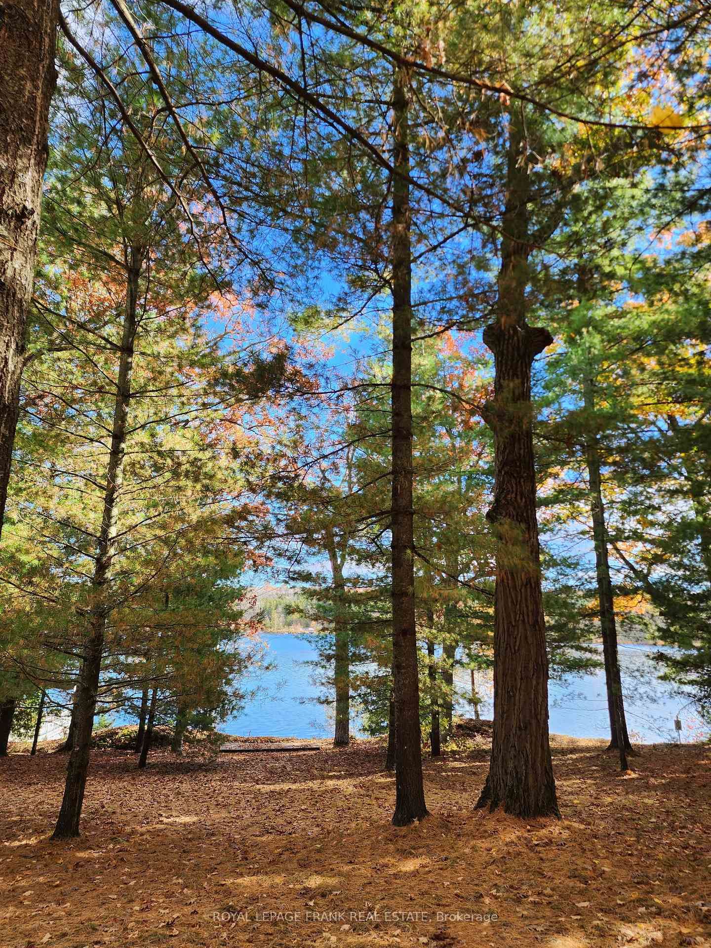 2A Whites Island • Alnwick/Haldimand, ON photo 14