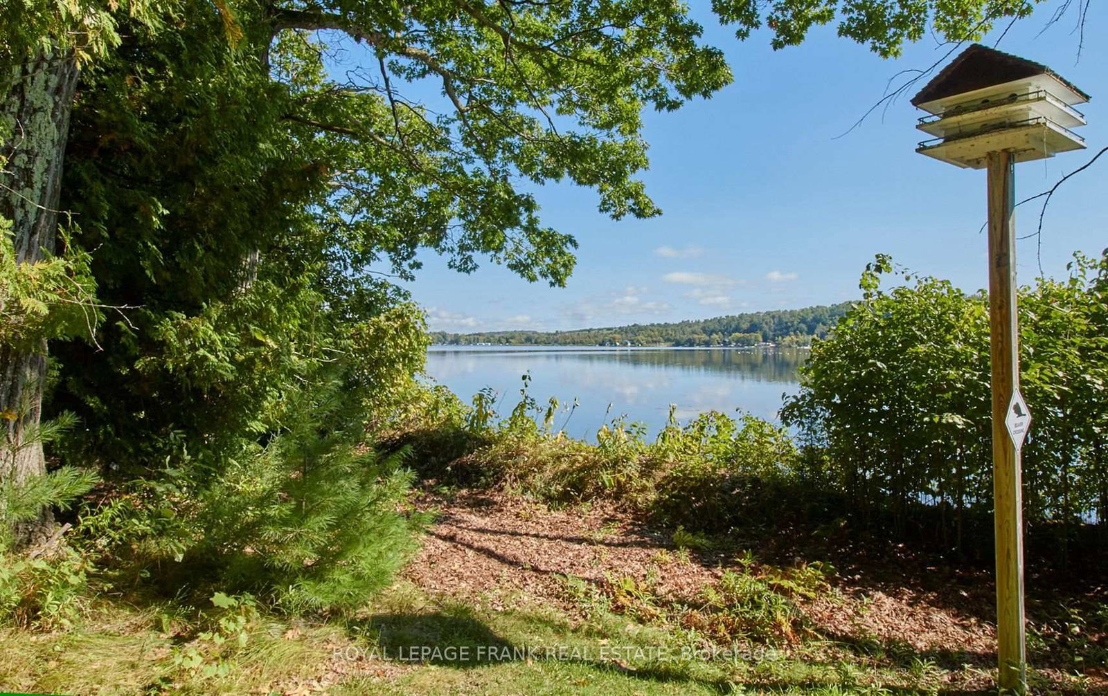 2A Whites Island • Alnwick/Haldimand, ON photo 15