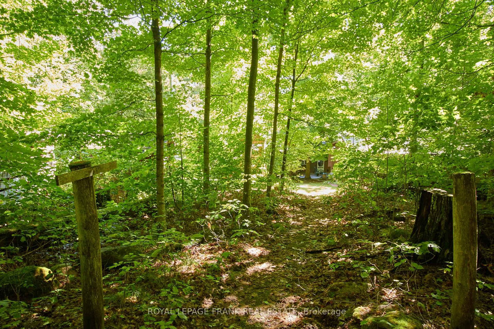 2A Whites Island • Alnwick/Haldimand, ON photo 31