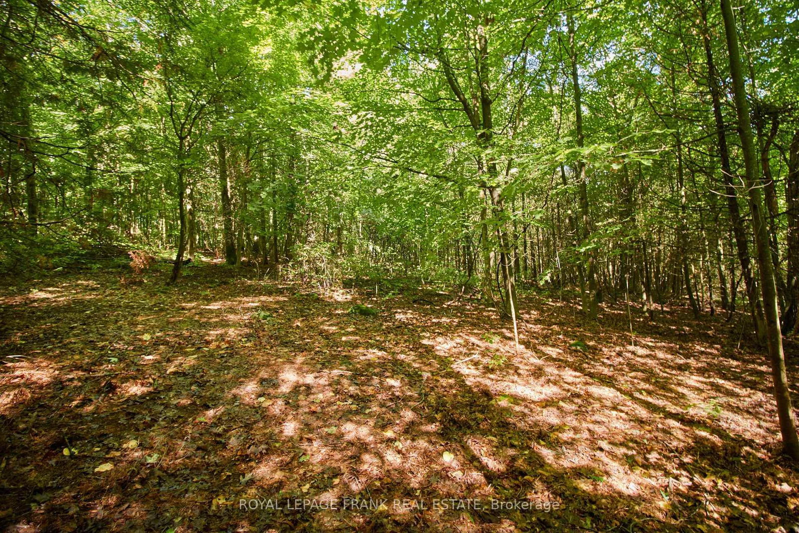 2A Whites Island • Alnwick/Haldimand, ON photo 33